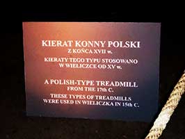 Wycieczka do Krakowa i Wieliczki 2015 2015